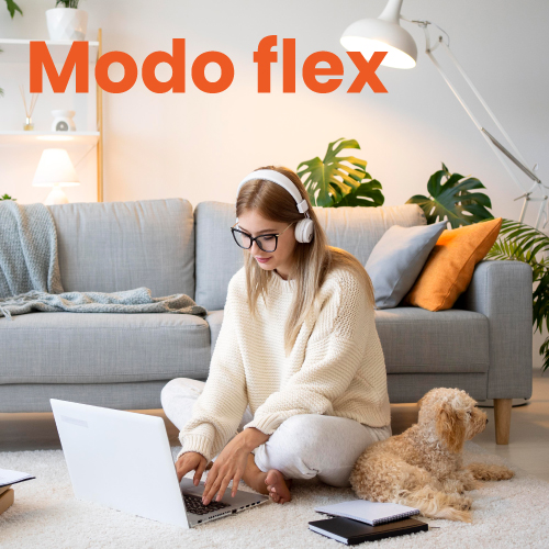 modo-flex modo-flex